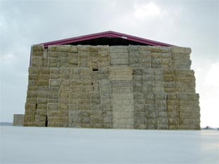 LA ALDEA DE PORTILLO DEL BUSTO. EL HACEDOR. IM�GENES Y PALABRAS.
