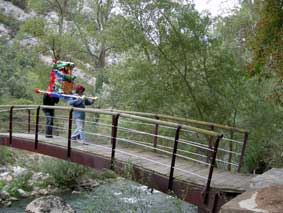 PASEARTE - O�A 2008