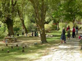 PASEARTE - O�A 2008