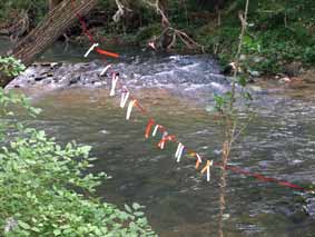 PASEARTE - O�A 2008