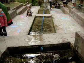 PAEARTE - 0�A 2008