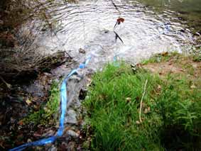 PAEARTE - 0�A 2008